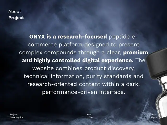 ONYX website case study, slide 2 of 14