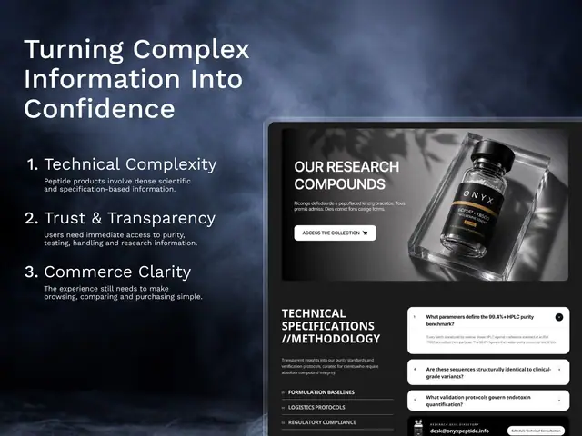 ONYX website case study, slide 9 of 14