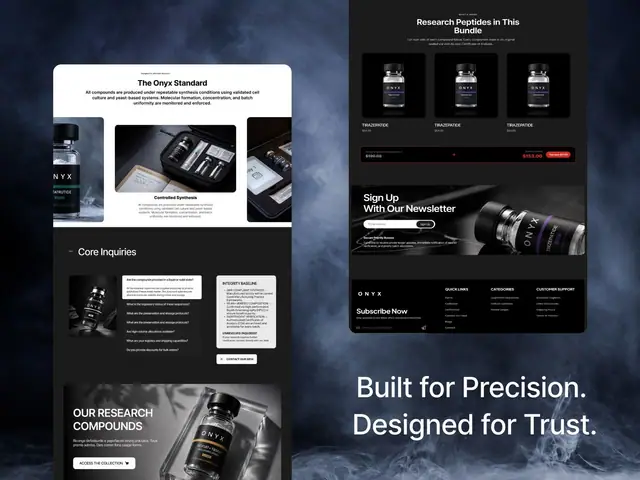 ONYX website case study, slide 10 of 14