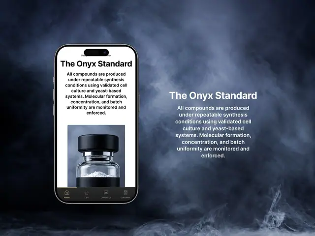 ONYX website case study, slide 11 of 14