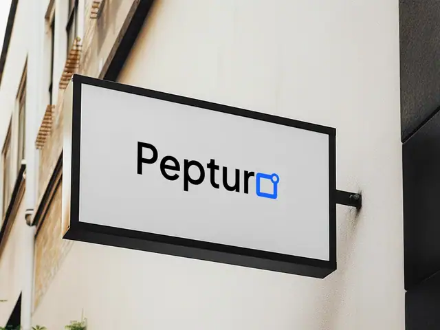 Pepturo website case study, slide 11 of 16